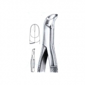 Extracting Forceps American Pattern